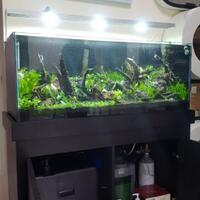 aquascape-for-everyone-learning-and-sharing---part-2