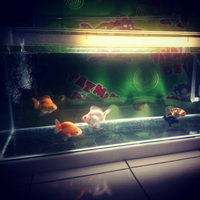 maskoki-ngomongin-semuanya-ttg-maskoki-yuk---part-5