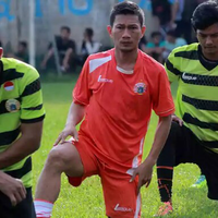 ahmad-dhani-janji-datangkan-ferguson-ke-persija-ini-komentar-ismed-sofyan