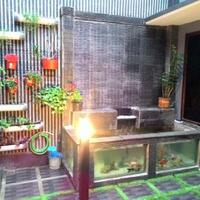 forum-koi-kaskus-part-5-semua-tentang-koi-masuk-kesini