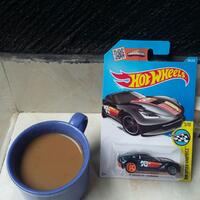 hot-wheels-lovers----part-10