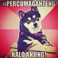 al-ghazali-minta-ahok-jangan-lagi-meng-edit-fotonya