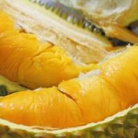 trik-unik-atasi-gangguan-saat-makan-durian