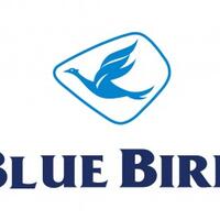 hore-besok-gratis-naik-taksi-bluebird