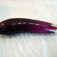 razia-lapas-wanita-petugas-temukan-terong-di-bawah-kasur-buat-apa-ya