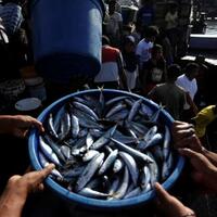 proses-hukum-kapal-tiongkok-harus-tetap-berjalan