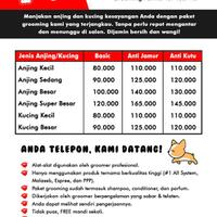 pencinta-welsh-corgi