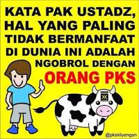 pks-belum-pasti-usung-yusril-di-pilkada-dki-2017