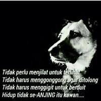 serius-hadapi-ahok-di-pilgub-dki-yusril-terus-dekati-pdip