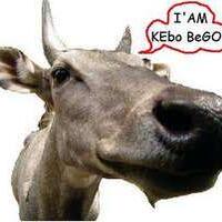 ahmad-dhani-saya-senang-sekali-dengar-pdip-enggak-jadi-ke-ahok