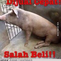 mtaupig--sebentar-lg-ahok-tersangka-mpphhhhhhhhhh