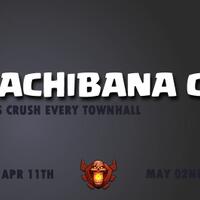 tachibana-family---a-social-active-mature-and-indonesian-clans