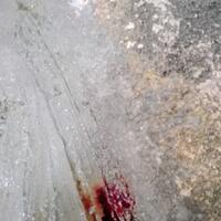 new-reptile-lounge---new-kaskus-------part-4