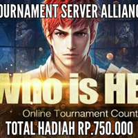 tournament-server-alliance