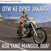 seskab-benarkan-ahok-gubernur-dki-berwenang-lakukan-reklamasi-teluk-jakarta