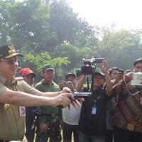 ahok-akui-sunny-jadi-penasihat-politik