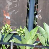 alasan-kepolisian-tahan-bap-jessica