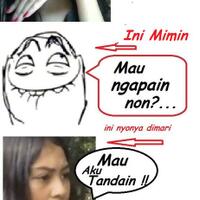 ini-mimin