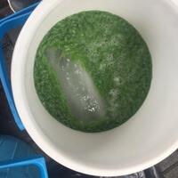 532-ribu-ktp-syarat-dukungan-minimal-untuk-ahok-tercapai