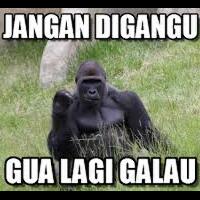 ppp-sesalkan-pilihan-yusril