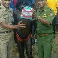 jadi-jomblo-gara-gara-tampil-seksi-di-iims