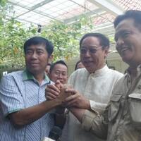 mengapa-sandiaga-lulung-dan-yusril-tawarkan-diri-ke-partai-lain