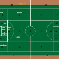 roll-to-dodge--pra-euro-2016