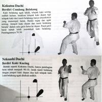 kyokushin-karate-26997304953135425163