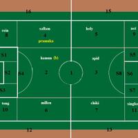 roll-to-dodge--pra-euro-2016