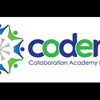 codemi--lowongan-ui-ux-designer