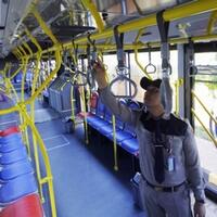 tambah-600-bus-ini-rute-baru-bus-transjakarta