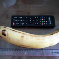 pisang-yang-aneh