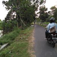 kombat-nature-tumpukan-sampah-mulai-menggunung-di-pinggiran-selokan-mataram-jogja