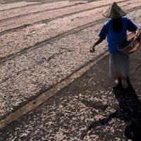 desa-digital-untuk-optimalisasi-penyaluran-dana-desa