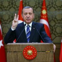 belanda-akan-hapus-pasal-penghinaan-kepala-negara-asing