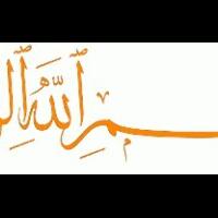 quotmonotremataquot-mamalia-yang-bertelur