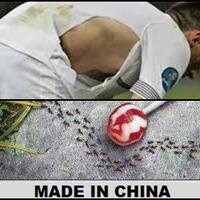 13-meme--made-in-china--ini-lucu-banget