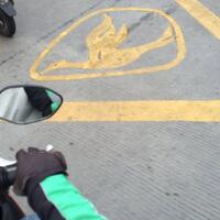 kenapa-ada-logo-blue-bird-di-perempatan-jalan-nan-padat