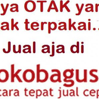 ada-yg-ingat-quotpetualangan-ninja-hatoriquot-serial-kartun-ninja-tahun-90an