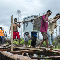 hotlin-ompusunggu-dokter-gigi-jawara-pelestarian-hutan