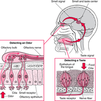 pv-lounge-18---part-3
