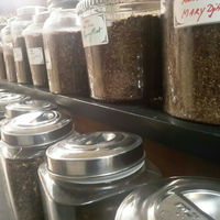 1758-awul-awul-part-2-regional-semarang-1758