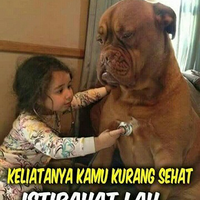 habiburokhman-tuduh-penagih-janji-terjun-dari-monas-akun-bayaran