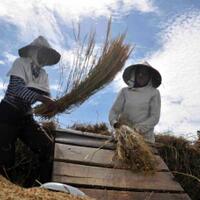 imbas-pembangunan-industri-pertanian-terancam
