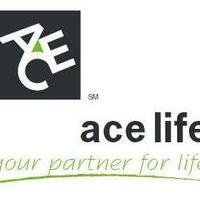 lowongan-kerja-marketing-asuransi-pt-ace-life-assurance-malang