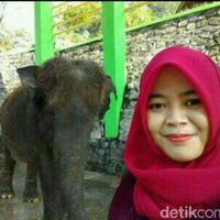 selfie-dan-keakraban-dokter-via-dengan-gajah-yang-berujung-maut
