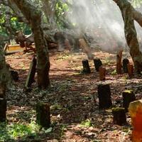 journal-misteri-kematian-beruntun-di-karanglo