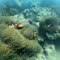 post-image