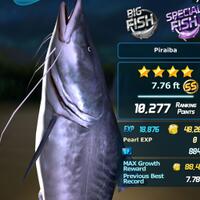 ios---android-ace-fishing--wild-catch---ultimate-3d-fishing-adventure