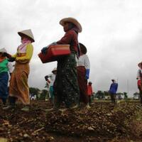 deflasi-dorong-upah-buruh-naik-secuil